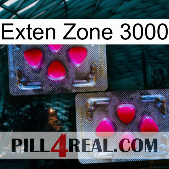 Exten Zone 3000 15.jpg